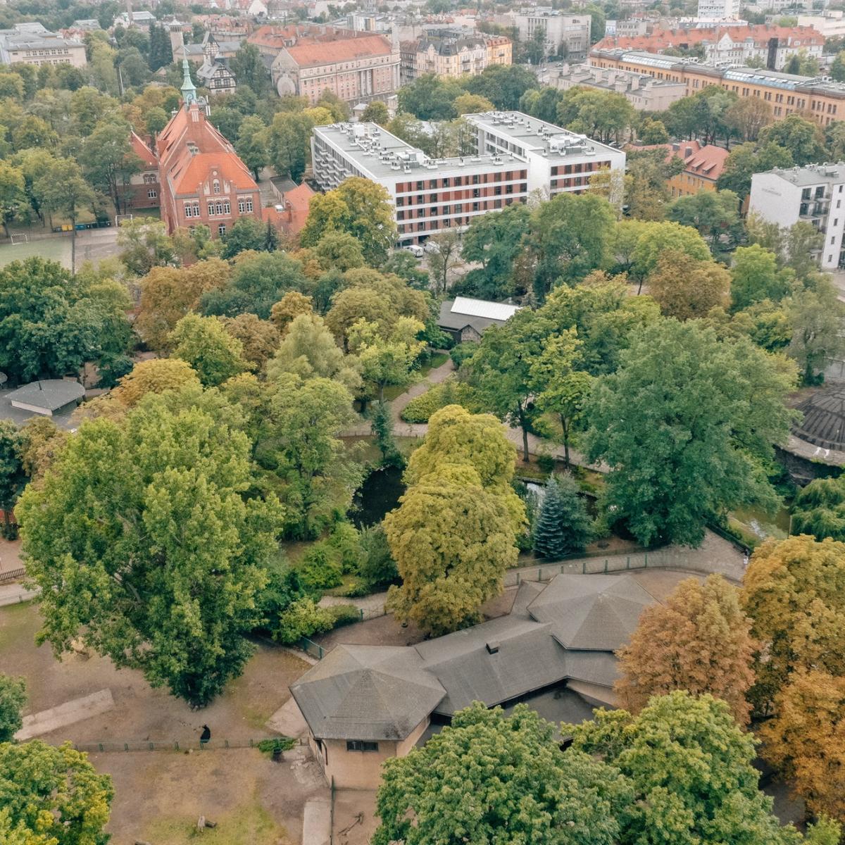 Zdjęcie Starego Zoo w pobliżu nowej inwestycji deweloperskiej Epika Jeżyce