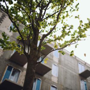 Plac budowy | Maj 2026 