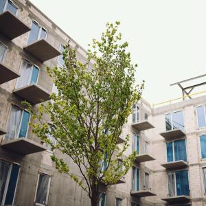 Plac budowy | Maj 2026 