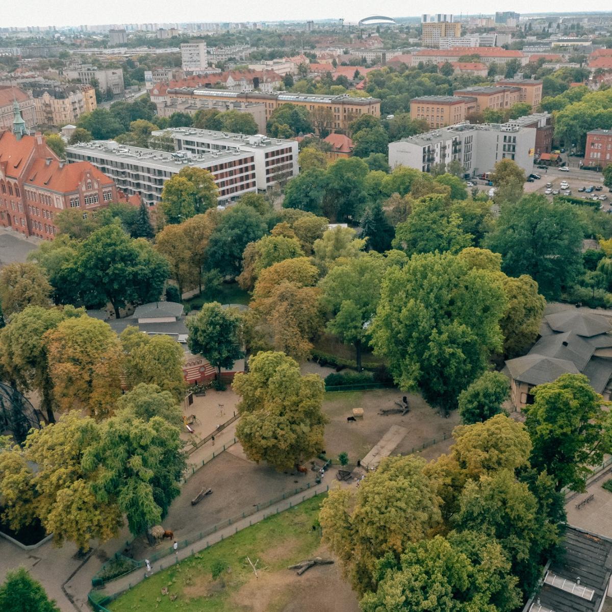 Zdjęcie Starego Zoo w pobliżu nowej inwestycji deweloperskiej Epika Jeżyce